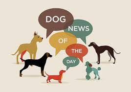 The following is a list of all the brands currently associated with the diamond dog food recall Diamond Pet Foods Recall Fiasco The Bark