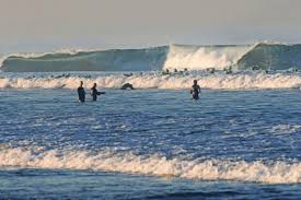 Check spelling or type a new query. Rio Swim On Off Back On Slowtwitch Com