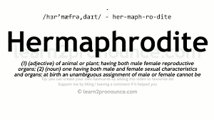 Record yourself saying 'hermaphrodite' in full sentences, then watch yourself and listen. Pronunciation Of Hermaphrodite Definition Of Hermaphrodite Youtube