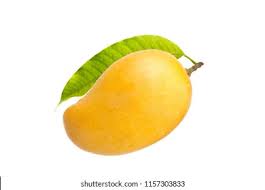 Yellow Mango Images, Stock Photos & Vectors | Shutterstock
