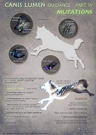 Pin By Elisha Is Mini Joker Girl On Werewolves Wolves Wolfdogs In 2020 Canis Fantasy Wolf Mythical Creatures
