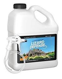 The pest control sprayers come in various sizes and can be used to spray various types of chemicals. 16 Lizard Repellent Ideas Lizard Get Rid Of Lizards Repellent
