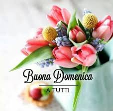 We did not find results for: Immagini Buongiorno Domenica Gratis Immaginibuongiorno Info