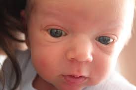 Serving in France: Caleb Bradley Graber