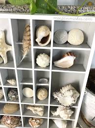 The horizontal offset (required) of the shadow. Diy Shell Shadow Box Made With A Thrifted Find What Meegan Makes