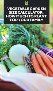 vegetable garden size calculator: how
