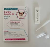 AffiVET® Canine Brucella Antibody Rapid Test Kit