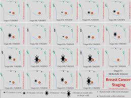 Image result for Breast Cancer Staging