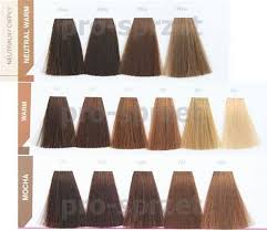 Mocha Matrix Hair Color Chart Rolif