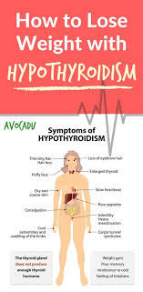 Pin On Healthy Thyroid