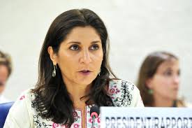 Chair of Mercenaries Working Group Briefs Human Rights Council