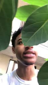 Eve Root's Instagram, Twitter & Facebook