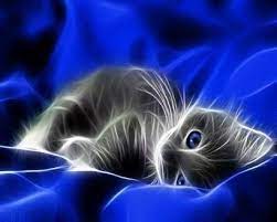 Kitten Art Poster Print New Kitten Wallpaper Cats Pets Cats