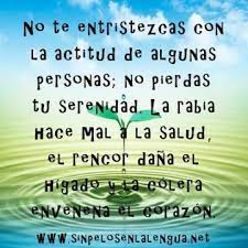 Check spelling or type a new query. Imagenes Con Frases Cortas Pensamientos Positivos Para Motivarse