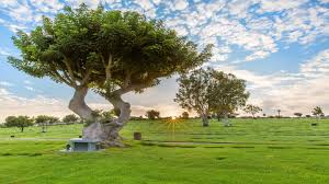 2 Grave Spaces For Sale 16kea Pacific View Memorial Park Corona Del Mar Ca Sunrise The Cemetery Exchange In 2020 Cemetery Memorial Park Corona Del Mar