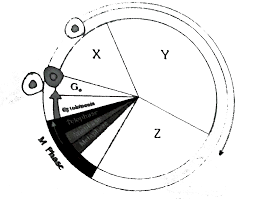 Ultrastructure of animal cell pdf. Given Is The Ultrastructure Of An Animal Cell Identify The Parts Marked As A B Ca Nd D Img Src Https D10lpgp6xz60nq Cloudfront Net Physics Images Ncert Fing Bio Obj Xi Ctl C08 E01 024 Q01 Png Width 80