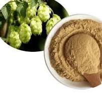 Humulus Lupulus Extract-Humulus Lupulus Pops Extract-운 더순