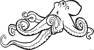 We did not find results for: Octopus Coloring Book Coloring Pages Fundraw Dot Com Book Printable Coloring4free Coloring4free Com