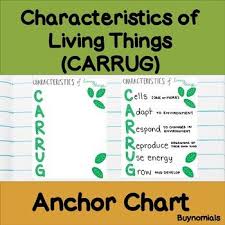 Characteristics Of Living Things Carrug Mnemonic Anchor Chart Or Poster Includes Blank Version For Stud Characteristics Of Living Things Anchor Charts Chart