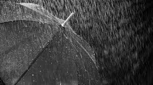 Heavy Rain Umbrella Wallpaper Rain Wallpapers Rain Art White Umbrella