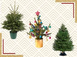 Check spelling or type a new query. Christmas Tree Shop Storage Bench Off 65