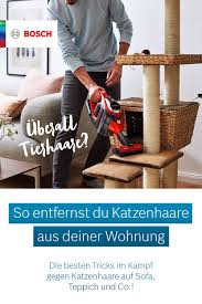 Gute wohnungen sind mangelware und entsprechend begehrt. Katzenhaare Entfernen So Werden Deine Mobel Katzenhaarfrei Katzenhaare Entfernen Katzenhaare Katzen