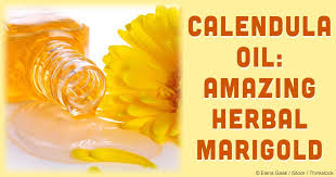Herbal Oil Calendula Oil Benefits And Uses Calendula Oil Benefits Herbal Oil Herbalism