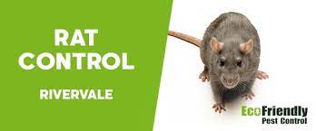 How can you get rid of rats in your home? Pest Control Rivervale