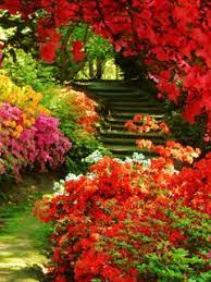 Colors Of Nature Mobile Wallpaper Nature Mobile Wallpaper Natural Color