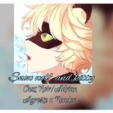 Snow Wolf And Kitty A Chat Adrien X Reader Story