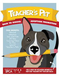 The pet you provide a home for and the incoming pet who gets their space in the shelter. 98 Marvelous Marketing Ideas Animal Shelter Pet Adoption Animal Rescue