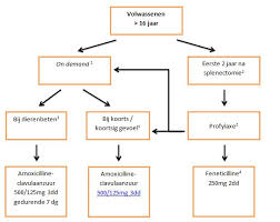 Implications for cdc guidance on masking. Asplenie Lci Richtlijnen