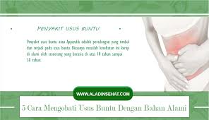 5 Cara Mengobati Usus Buntu Dengan Bahan Alami Tanpa Operasi Operasi Kesehatan Penyakit