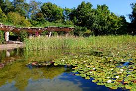 Der britzer garten im süden berlins ist nicht nur für blumen und gartenfreunde ein hochgenuss. Britzer Garten Berlin De