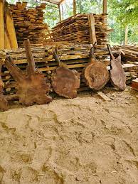 Maybe you would like to learn more about one of these? Walnut Root Ball Slabs They Are 2 Burns Sawmill Service Facebook