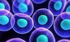 When a strange signal pulsates through all cell phone networks worldwide, it starts a murderous epidemic of epic proportions when users become bloodthirsty. Learn About Cells