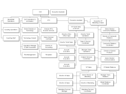 How To Write A Literature Review Director Of Basketball