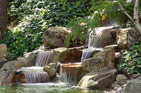 Whether you are a water garden enthusiast or a serious koi keeper our 5 star service programs are tailored to meet your needs. Projects Gallery Nimbus Pond Inc