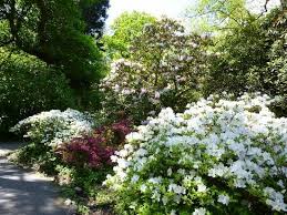 Pin By Gower Edge Holidays On Wales Beautiful Park Swansea Trip Advisor