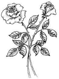 Search images from huge database containing over 1,250,000 drawings. How To Draw A Rose Howstuffworks