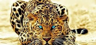 الفهد الصياد اسرع المخلوقات دنيا الأطفال Animals Wild Cats Animals Wild