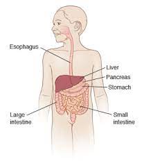 We did not find results for: Viral Gastroenteritis Child