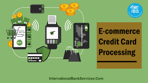 Drive the most value as a payments provider. E Commerce Credit Card Processing Exactly What Does A Company Need To Get Started Ibs Payment Solutions