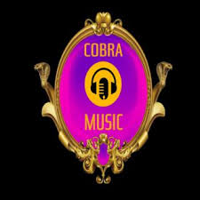 Warranty safe installation, no addition ads or malware cobra iptv apk safe verified. How To Download Cobra Iptv On Fire Stick 2021 Guide