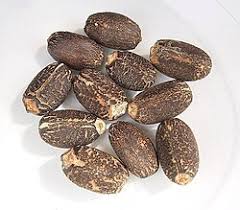 Image result for Jatropha curcas