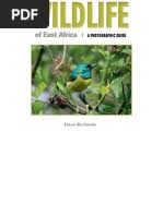 Image result for Gutenbergia rueppellii