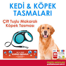 Keditasmasi Hashtag On Twitter