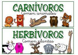 Animales Herbivoros En Dibujos Animados Imagui Clasificacion De Animales Animales Herbivoros Clasificacion De Seres Vivos