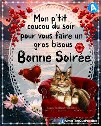 UN PETIT COUCOU POUR VOUS SOUHAITER UNE BELLE ET AGRÉABLE SOIRÉE À VOUS TOUS