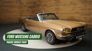 Image result for Prairie Bronze 1964 Mustang